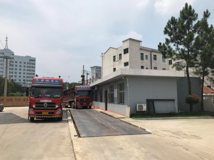 麻城金玉米業